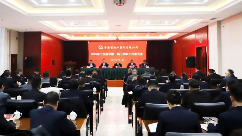 堅定信心促發(fā)展 實(shí)干爭先攀新高&mdash;&mdash;省物產(chǎn)集團(tuán)2025年工作會議暨一屆三次職代會勝利召開