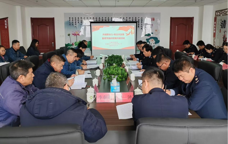 共建聚合力 稅企共發(fā)展&mdash;&mdash;工投公司舉辦基層黨組織聯(lián)建共建活動