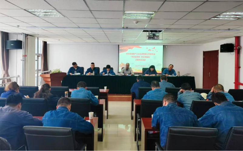 工投公司黨委組織開展&ldquo;學(xué)全會精神 守紀(jì)律底線&rdquo; 主題黨日活動