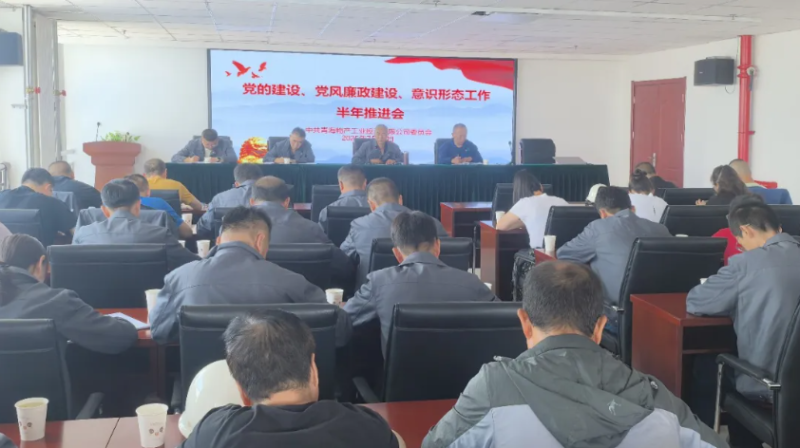 工投公司黨委召開黨的建設(shè)、黨風(fēng)廉政建設(shè)、意識形態(tài)工作半年推進(jìn)會