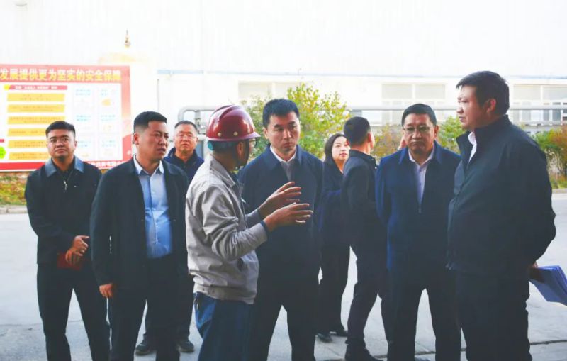 大通縣委副書記、縣長馬明旭一行蒞臨工投公司調(diào)研指導