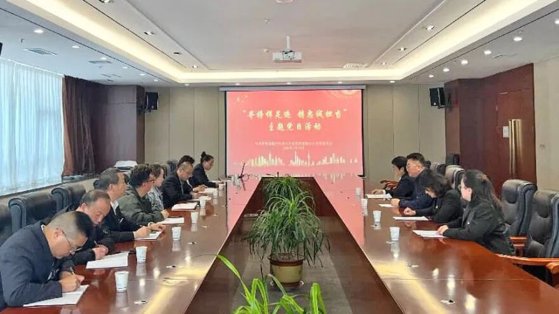 臨空公司黨支部開(kāi)展主題黨日活動(dòng)